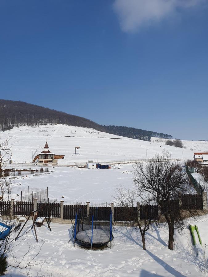 Apartament La Casa In Curte Comuna Apartment Кодлеа Екстериор снимка